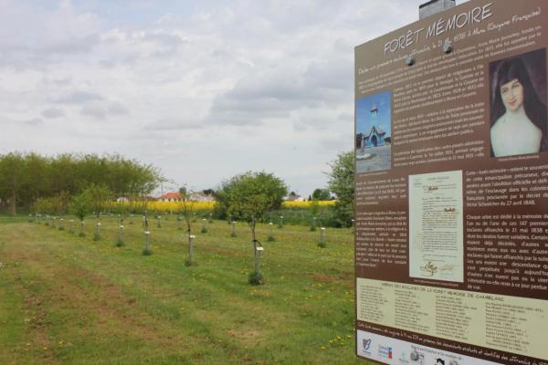 Forêts mémoire Anne Marie Javouhey 